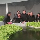 대오농장 이미지