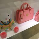 비아로마 이미지