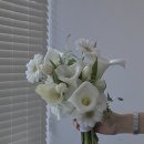 플라워사랑 | 천안 웨딩 부케 꽃집 추천! 라디플라워 꽃집 (본식 부케 가성비 최고 찐 내돈내산 후기)