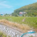 삼산면-8 이미지