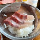 잇칸시타