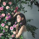 센트플라워