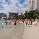 와이키키 이미지