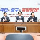 자유가맥