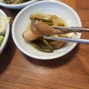 거진항코다리 | 모란시장 복날 코다리전문점 거진항맛집 모란점 방문 솔직후기