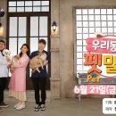 펫밀리 이미지