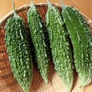 여주-0900 이미지