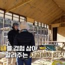 혜정 민박 이미지