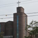 도대교회 이미지