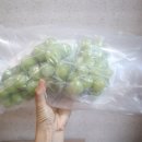 복주농장 이미지