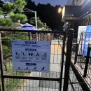 블루플래닛 | 화성 블루플래닛 애견운동장 (대형견가능)후기