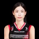 목포여자상업고등학교 | 정관장 배구 선수 인쿠시 국적 2026년 배구의 모든 것