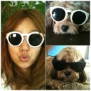 순심이안경 이미지