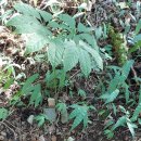 현동농장 이미지