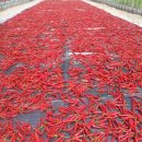 금생농장 이미지