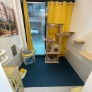 함께냥 대전점 이미지