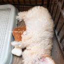 비비안살롱 이미지