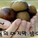 마지막밤 - 부산진구 동성로49번길 3 | 마지막밤
