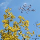 미션무예합기도 이미지