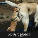 은재