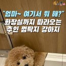 엄마여기