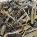 화천삼나물밥상 이미지