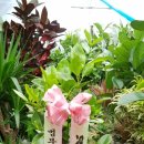 예하약국 이미지