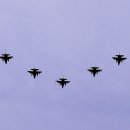 용아농장 이미지