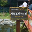 한백식품 - 아산시 남부로350번길 18-6 | 한백식품