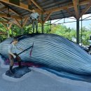 울산여인숙 이미지