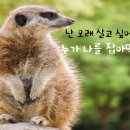 행복을 주는 행정사 이미지