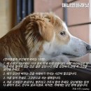 남자만들기
