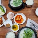 돈꿀돼지국밥 네이버블로그