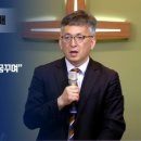 나무안에서 이미지