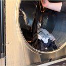 부평세탁소 이미지