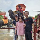 [태국여행39일째] 여행에서 타본것들(코끼리,BTS,MRT오리보트) ~2023.10.9~ 이미지