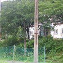 운천펜션 Daum카페