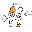 대기앤준