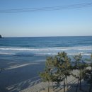 스테이용화 이미지