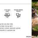 리움 동물의료센터 이미지