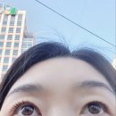 대구 동성로 속눈썹펌 맛 [렛미인] 솔직 후기!