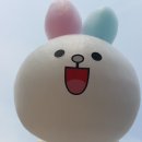 고쉐프의스윗프렌즈