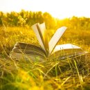 의정부쁘띠린부동산공인중개사사무소 이미지