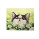 영화사로 이미지