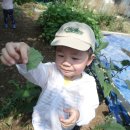 시후농장 이미지