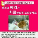 암사도서관 이미지