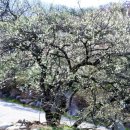 레드클레이 호스텔 이미지