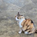 바다에반하다 민박 | 남해 해물라면 새우구이 맛집 남해에 반하다