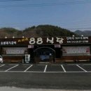 숙이네88식당 | 합천 야로면 맛집 &amp; 밥집 :: 숙이네88식당( 소고기전골👍, 돼지갈비 맛집 )