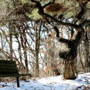 이완 묘 및 정려각 이미지